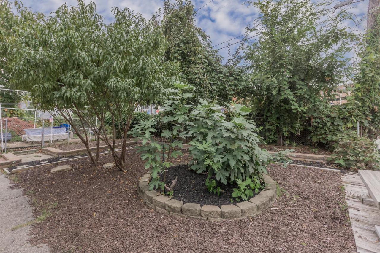 Apartamento In The Heart Of Little Italy! Free Parking! Cleveland Exterior foto